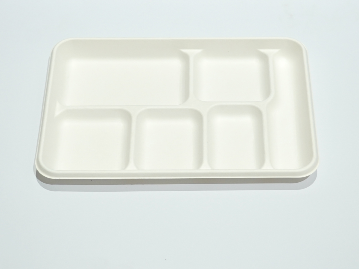 PLATE BIO 6 COMPARTMENT X400